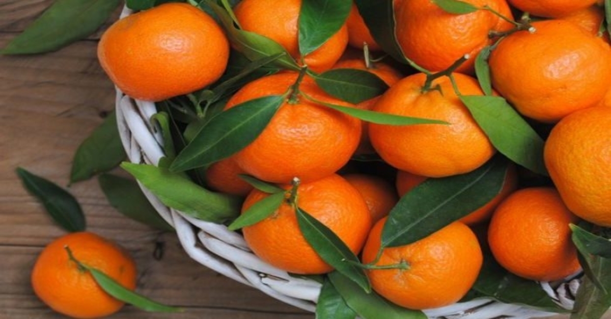 hipertenzija ir mandarinai