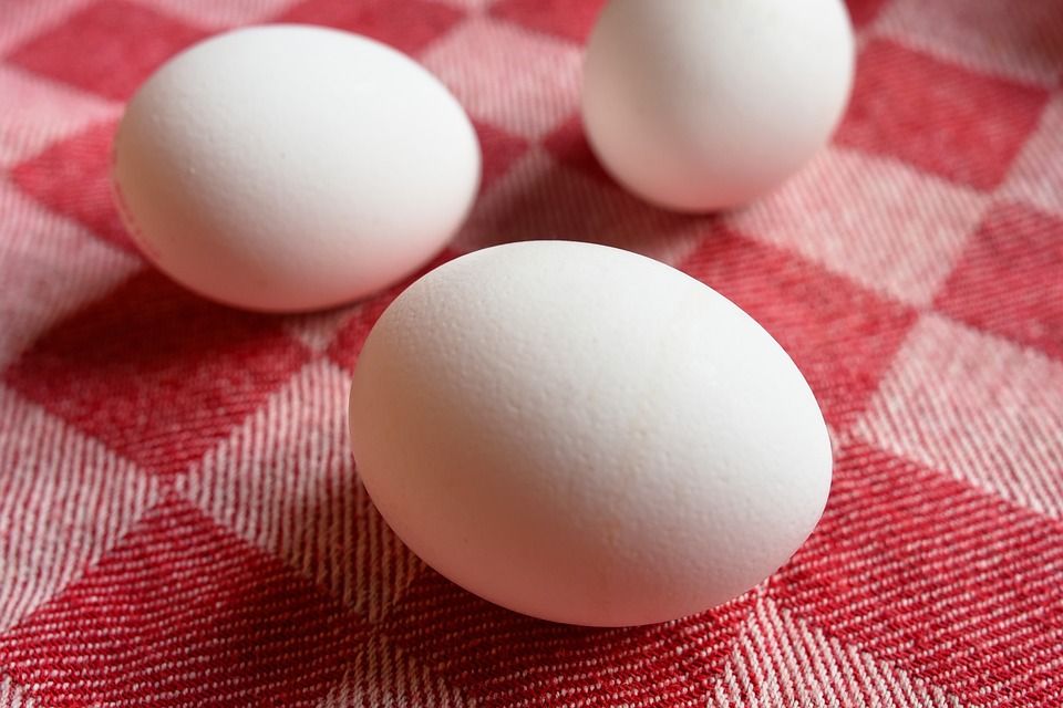 kiaušiniai