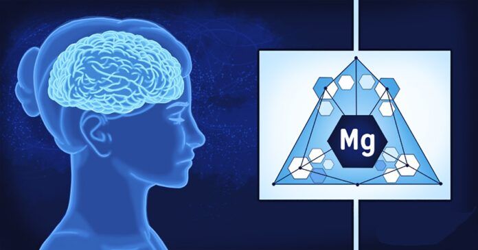 Sužinokite, kodėl magnis labai svarbus jūsų smegenims