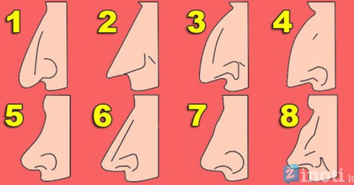 Sužinokite, ką apie jus atskleidžia jūsų nosies forma