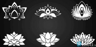 Pasirinkite lotoso simbolį ir sužinokite, kaip elgtis dabartinėje situacijoje