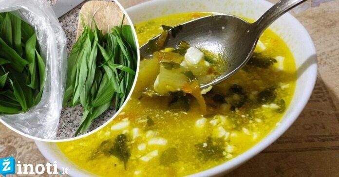 Gardžios sriubos, kuriose gausu vitaminų. Stiprinkite imunitetą!