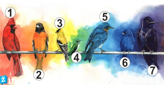 Pasirinkite paukštį ir sužinokite, kokio jausmo jums šiuo metu trūksta