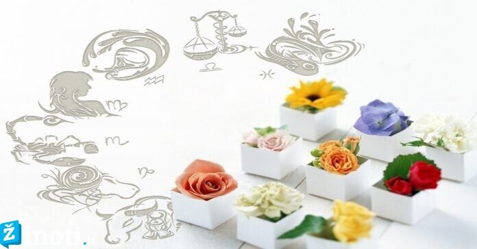 Kokias gėles dovanoti skirtingų Zodiako ženklų atstovėms?