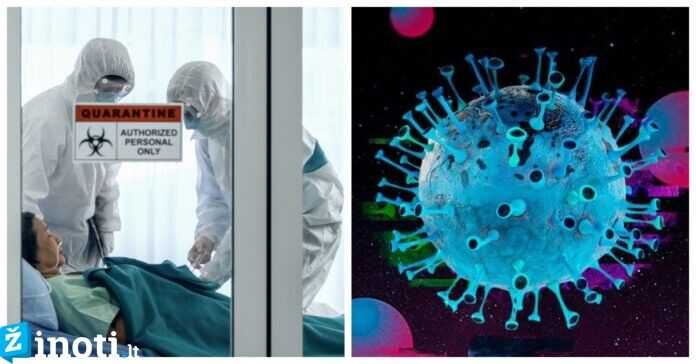 Kas nutinka, kai koronavirusas patenka į mūsų organizmą