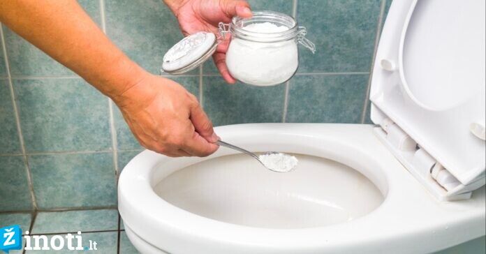 Ši priemonė padės išvalyti tualetą ir apsaugos nuo blogų kvapų