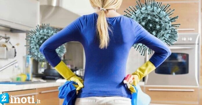 Namų valymo būdai, kurie padės sunaikinti virusines bakterijas