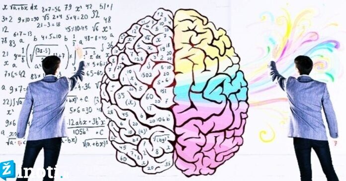 Ką mumyse lemia tai, kuris smegenų pusrutulis yra dominuojantis?