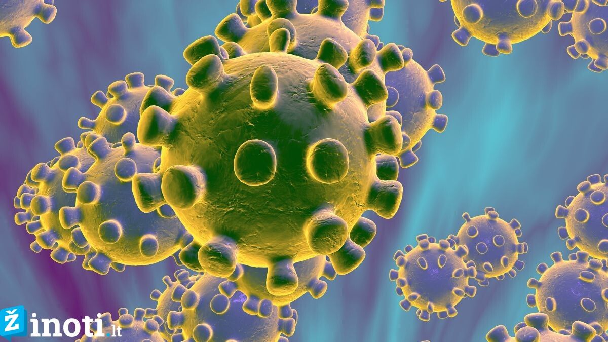 kovoje su koronavirusu