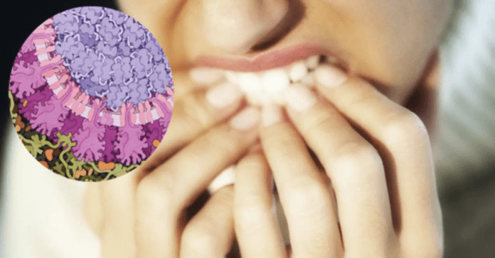 Ekspertai teigia, kad įprotis kramtyti nagus padidina infekcijos riziką