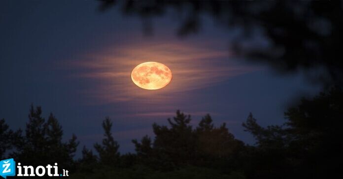 Balandžio 8 d. patekės ryškiausia šių metų Mėnulio pilnatis