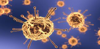 Mokslininkai praneša: koronaviruso sukelta liga gali atsinaujinti