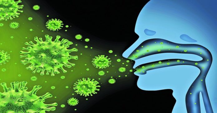 Sužinokite, kokios 8 žolelės turi galingą antivirusinį poveikį