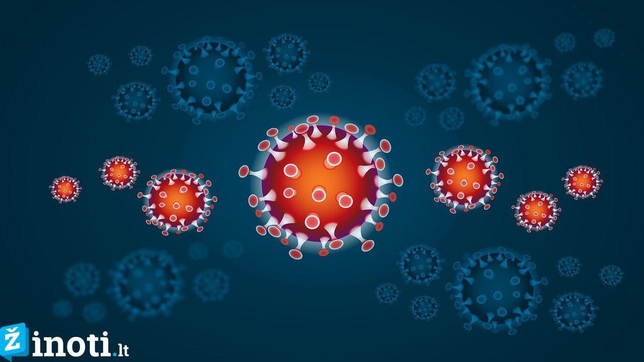 koronavirusą