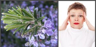 Ar žinojote, kad šie sodo augalai gali padėti kovoti su migrena?