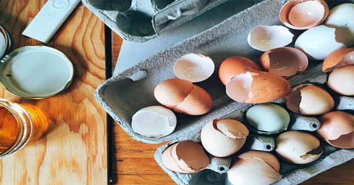 Priežastys neišmesti kiaušinio lukštų, jei turite sodą