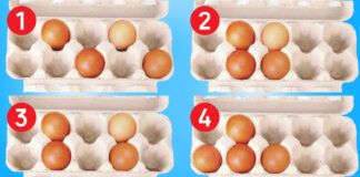Pasirinkite kiaušinių dėžutę ir sužinokite, kokia yra jūsų stiprioji pusė