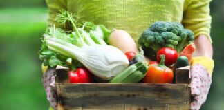 8 sveikos daržovės ir žolelės, kuriomis lengva rūpintis