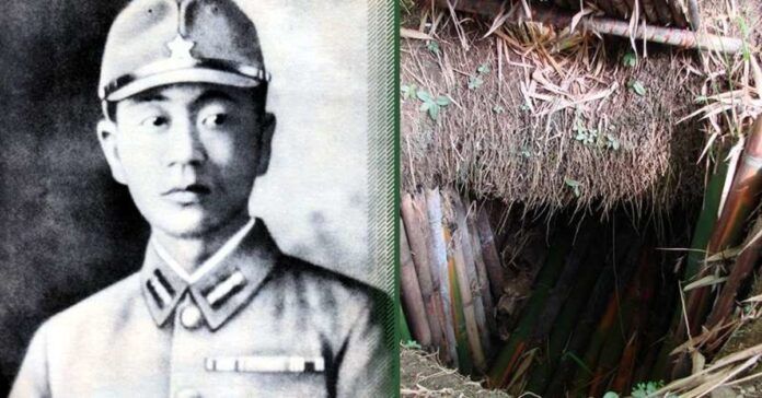 Džiunglių vaiduoklis: istorija apie japoną, kuris 28 metus gyveno po žeme