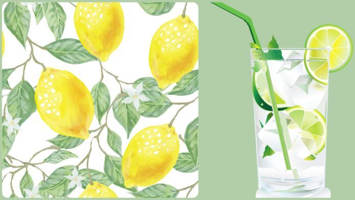 2 naminio limonado receptai. Išsirinkite savo mėgstamiausią!