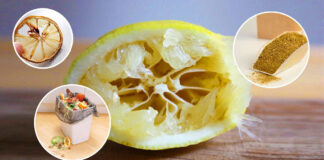 10 priežasčių, kodėl neturite išmesti panaudotos citrinos