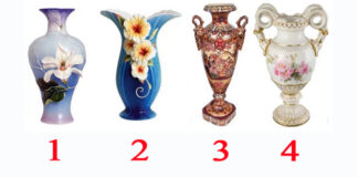 Testas: pasirinkite vazą ir sužinokite, kas jus traukia