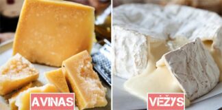 Koks yra idealus sūris kiekvienam zodiako ženklui?