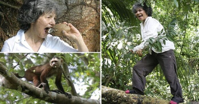 Mergaitės istorija, kurią penkerius metus augino beždžionės