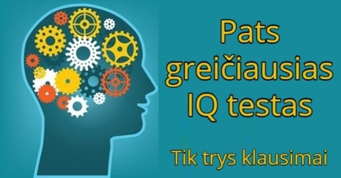 Greitas trijų klausimų IQ testas. Atlikite jį ir sužinokite savo galimybes!