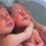 Naujagimiai dvyniai nesupranta, kad yra gimę: verta pamatyti šią akimirką