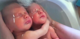 Naujagimiai dvyniai nesupranta, kad yra gimę: verta pamatyti šią akimirką