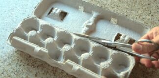 15 idėjų, kaip galima panaudoti tuščias kiaušinių dėžutes