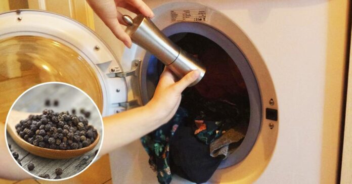 Sužinokite, kodėl į skalbimo mašiną verta įdėti juodųjų pipirų!