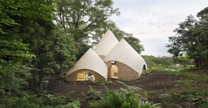 Architektas sukūrė svajonių namą pensininkams miške