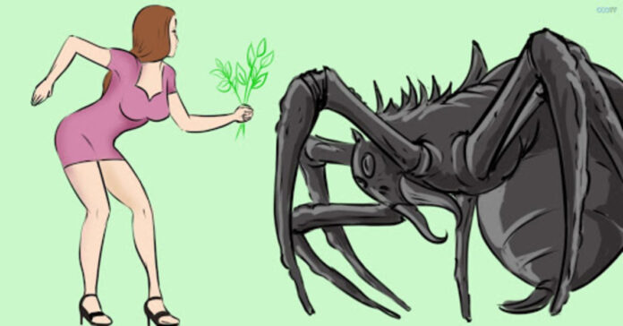 Kodėl namuose būna daug vorų? Sužinokite visą tiesą