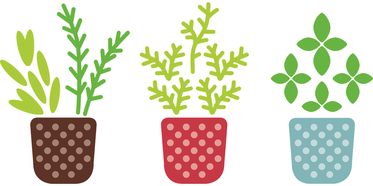 augalų