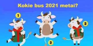 Pasirinkta karvė išduos, kokie netikėtumai jūsų laukia 2021 metais