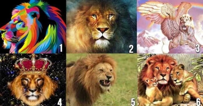 Pasirinkite liūtą ir sužinokite, kokio partnerio jums reikia
