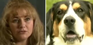 Moteris buvo šokiruota, kai šuo įkando jai petį - ji iškart suprato, kad šeima pavojuje