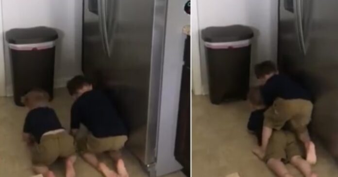 Tėvai užrakino šaldytuvą. Dabar milijonai juokiasi iš vaikų bandymo į jį įsilaužti