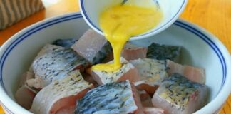 Nepaprastai skani žuvis su tofu sūriu. Išbandykite!