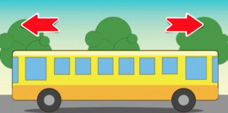 Galvosūkis: į kurią pusę važiuoja autobusas? Net daugelis vaikų žino atsakymą