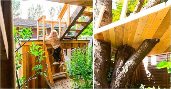 Rūpestingas tėtis pastatė namelį medyje savo dukroms. Jis nuostabus!