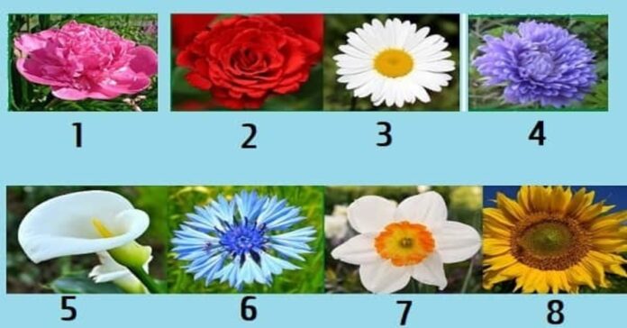 Testas: pasirinkite gėlę ir sužinokite savo stipriąsias puses