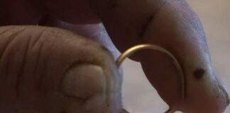 Grybaudamas vyras atrado auksinį žiedą. Radinys privertė jį nubraukti ašarą
