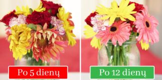 7 būdai, kaip išlaikyti žydinčias gėles ilgiau. Išbandykite!
