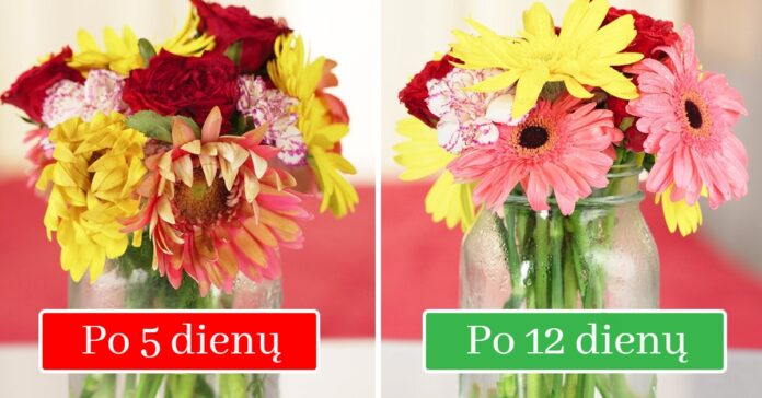 7 būdai, kaip išlaikyti žydinčias gėles ilgiau. Išbandykite!