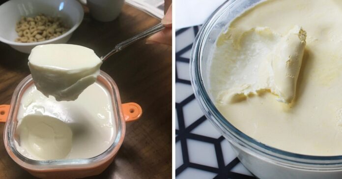 Naminis jogurtas- 3 būdai, kaip galite jį pagaminti be specialaus aparato