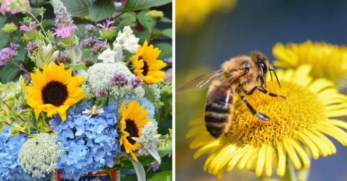 20 augalų, kuriuos labai mėgsta bitės