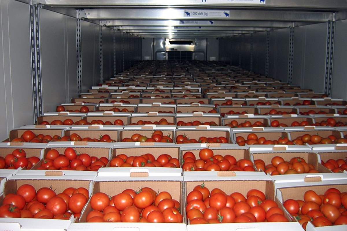 Огурцы и помидоры в холодильнике. Хранилище для овощей. Хранение овощей и фруктов. Склад овощей. Хранение овощей на складе.